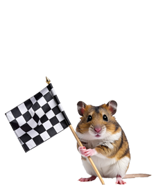 Guy that stands at finish